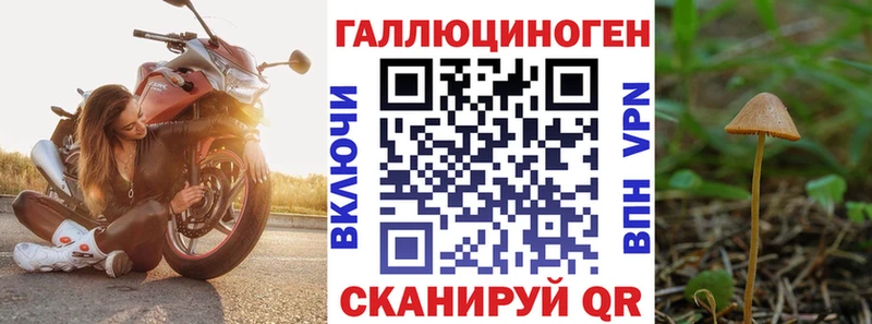 Купить закладки  Ижевск  Псилоцибиновые грибы мухоморы